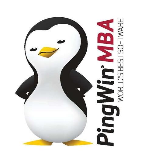 Pingwin MBA